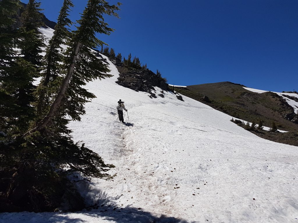 Ed crossing snow field