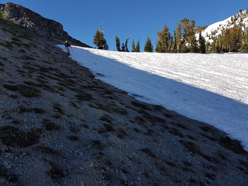 Walking on edge of snow