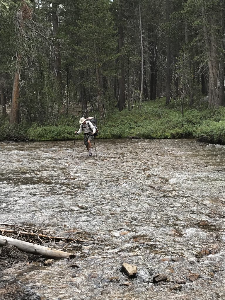 Crossing Evolution Creek