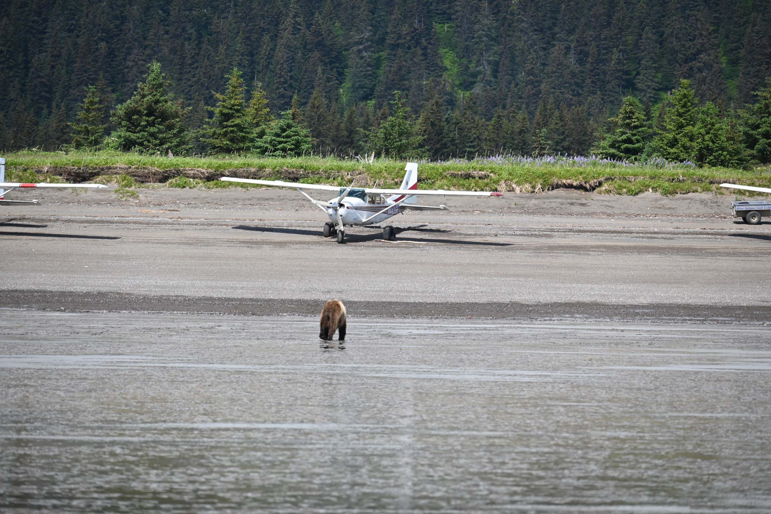 alaska 18 yacht