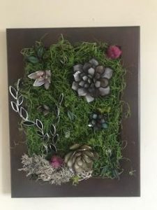 Succulent wall hanging