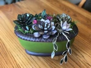 Succulents