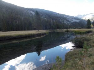 Reflections on Lyell Fork Creek in Lyell Canyon